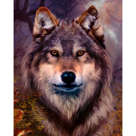 Peinture à numéros Complexe - Tête de loup