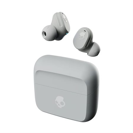 ECOUTEURS S-F SKULLCANDY MOD GRIS / BLEU