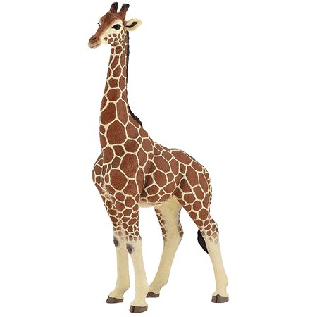 Papo - Girafe mâle
