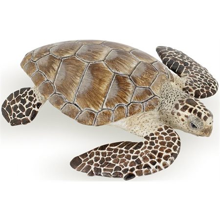 Papo - Tortue caouanne