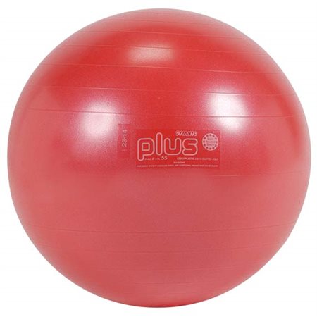Ballon exercice de 55 cm rouge