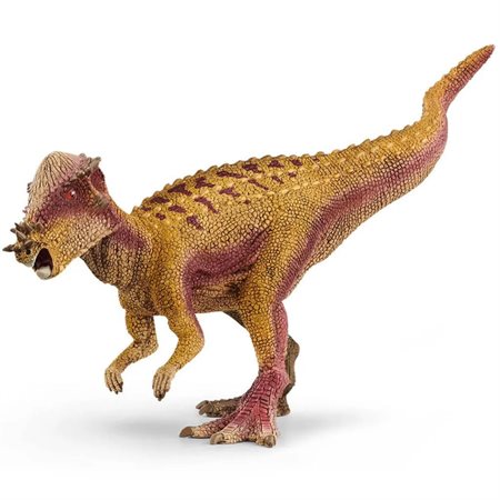 Pachycéphalosaure