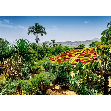 Casse-tête : Botanical garden, Madeira (1000)