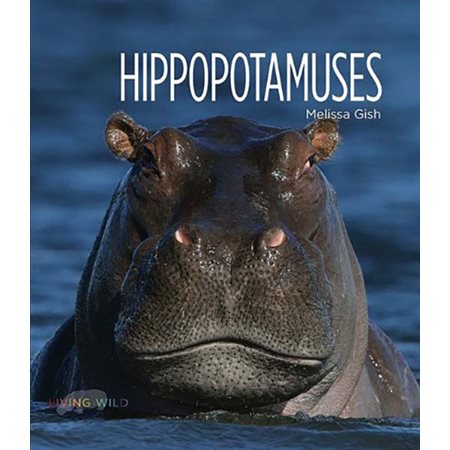 Hipopotamuses