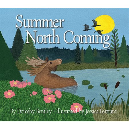 Summer North Coming-Winter North Coming