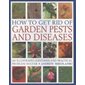 How to Get Rid of Garden Pests and Diseases
