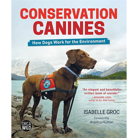 Conservation Canines: How Dogs Work for the Environment
