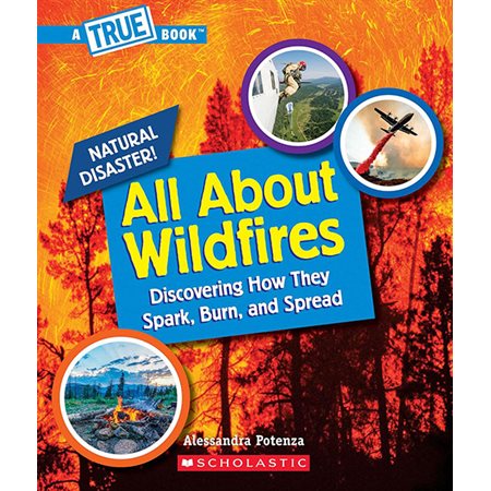 All about Wildfires