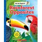 Rainforest Opposites: Be an Expert!