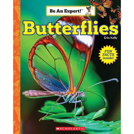 Butterflies: Be an Expert!