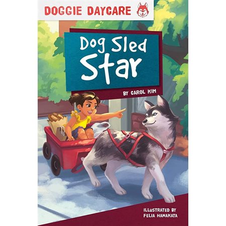 Dog sled star