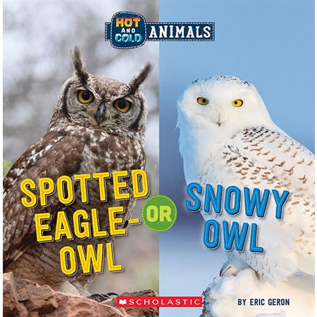 Spotted eagle-owl or snowy owl