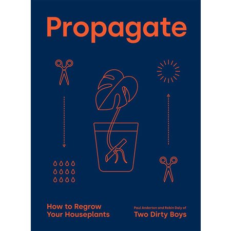 Propagate: How to Regrow Your Houseplants