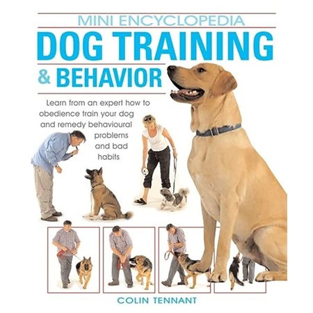 Dog Training & Behavior