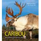 Caribou: Wind Walkers of the Northern Wilderness