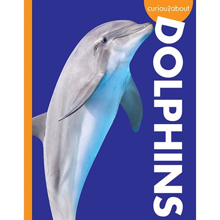 Curious about Dolphins