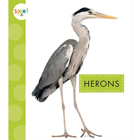 Herons: Spot Big Birds