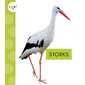 Storks: Spot Big Birds