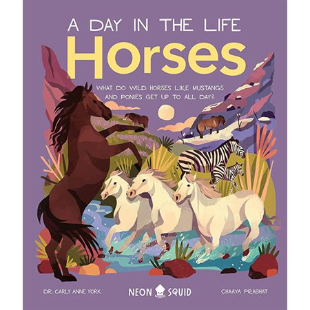 Horses: What Do Wild Horses Like Mustangs and Ponies Get Up to All Day?