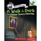 A Walk in the Dark and Other Scary Stories, Book 4, Mister Shivers