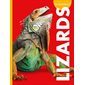 Curious about Lizards