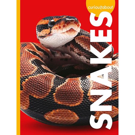 Curious about Snake