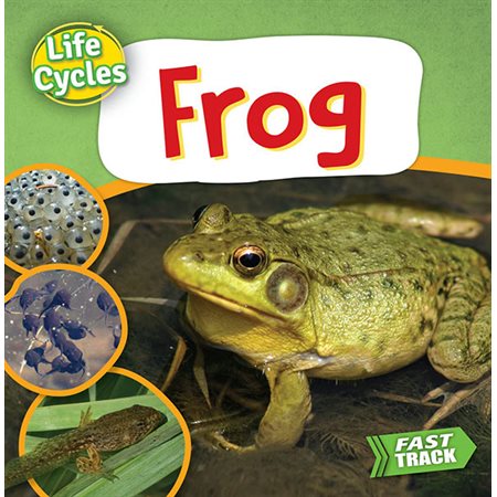Frog: Life Cycles