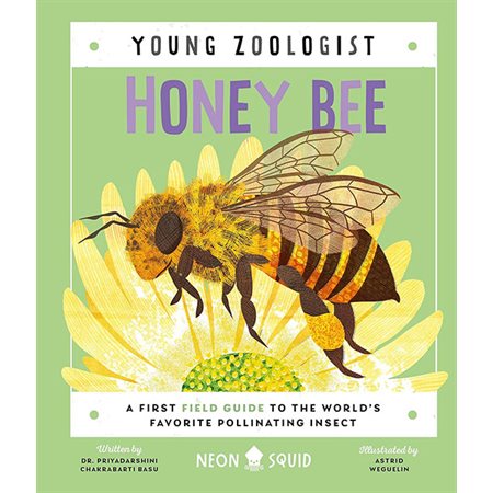 Honey Bee: Young Zoologist