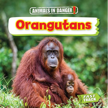 Orangutans: Animals in Danger