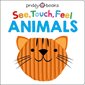 Animals :See, Touch, Feel