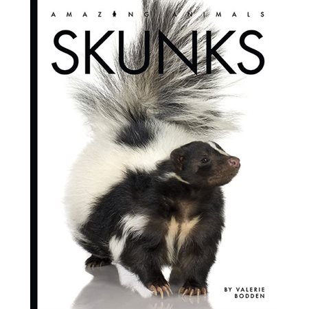 Skunks: Amazing Animals