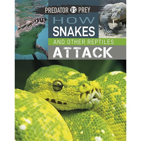 How Snakes and Other Reptiles Attack!: Predator Vs Prey