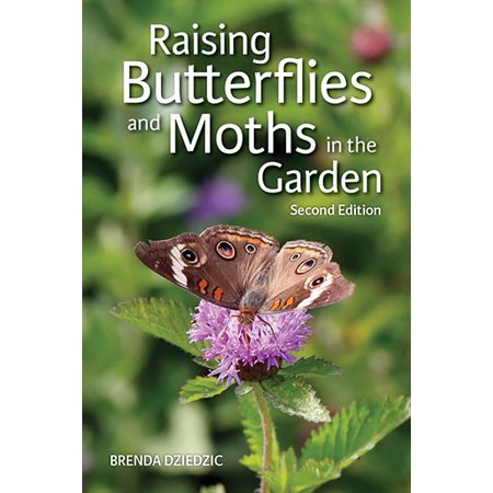 Raising Butterflies and Moths in the Garden