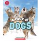A Pack of Dogs: Learn About: Animals
