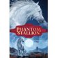 The Wild One, book 1, Phantom Stallion