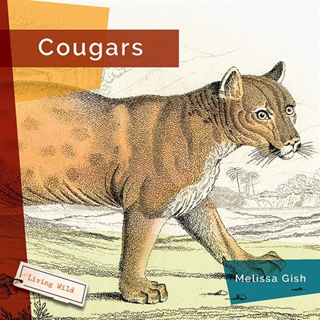 Cougars; Living Wild