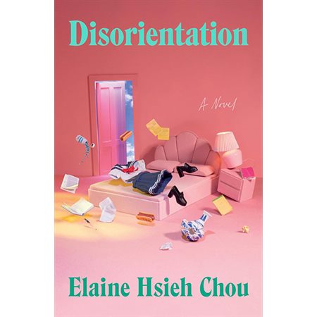 Disorientation: A Novel