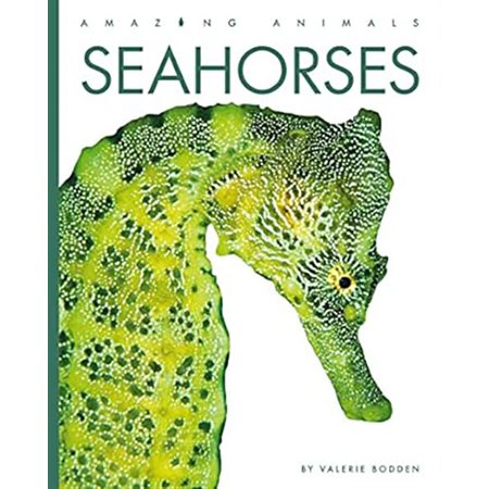 Seahorses: Amazing Animals: Seahorses