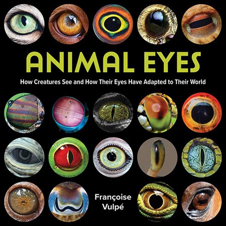 Animal Eyes: How Creatures See and How Their Eyes Have Adapted to Their World |