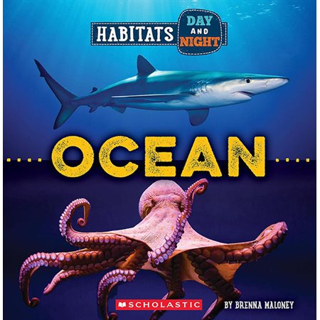 Ocean: Habitats Day And Night