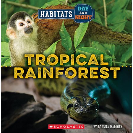 Tropical Rainforest; Habitats Day And Night