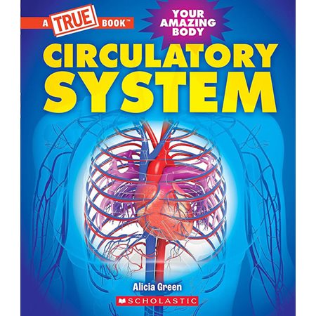 Circulatory system: Your amazing body