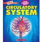 Circulatory system: Your amazing body