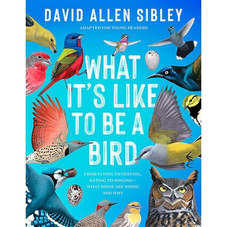 What It's Like to Be a Bird (Adapted for Young Readers):