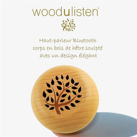Haut-parleur Woodulisten - Branche design