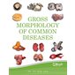 Gross Morphology of Common Diseases