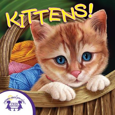 Know-It-Alls!  Kittens