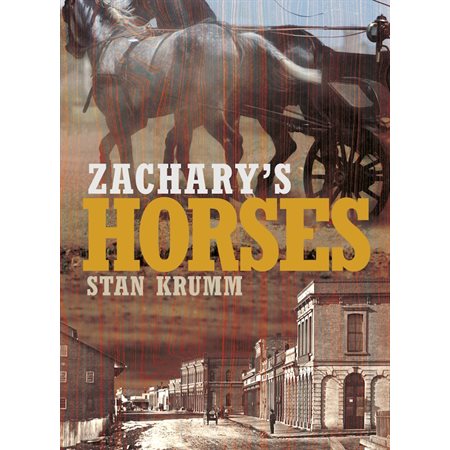 Zachary's Horses