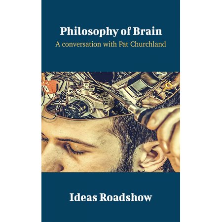 Philosophy of Brain