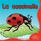 La coccinelle